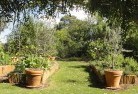 Dryandraformal-gardens-2.jpg; ?>
